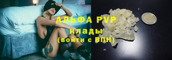 сатива Козловка