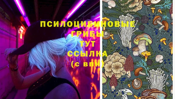 таблы Алексин