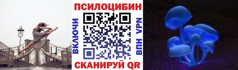 закладки Электрогорск omg маркетплейс какой сайт Галлюциногенные грибы MAGIC MUSHROOMS